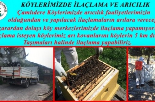 KÖYLERİMİZDE İLAÇLAMA VE ARICILIK .