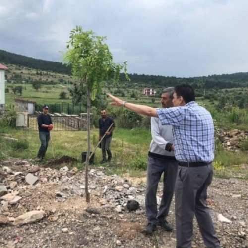 BAŞKANIMIZ, ÇAMLIDERE YAYLASI YOLU MEVKİİNDEKİ AĞAÇ DİKİM ÇALIŞMALARINI YERİNDE İNCELEDİ...