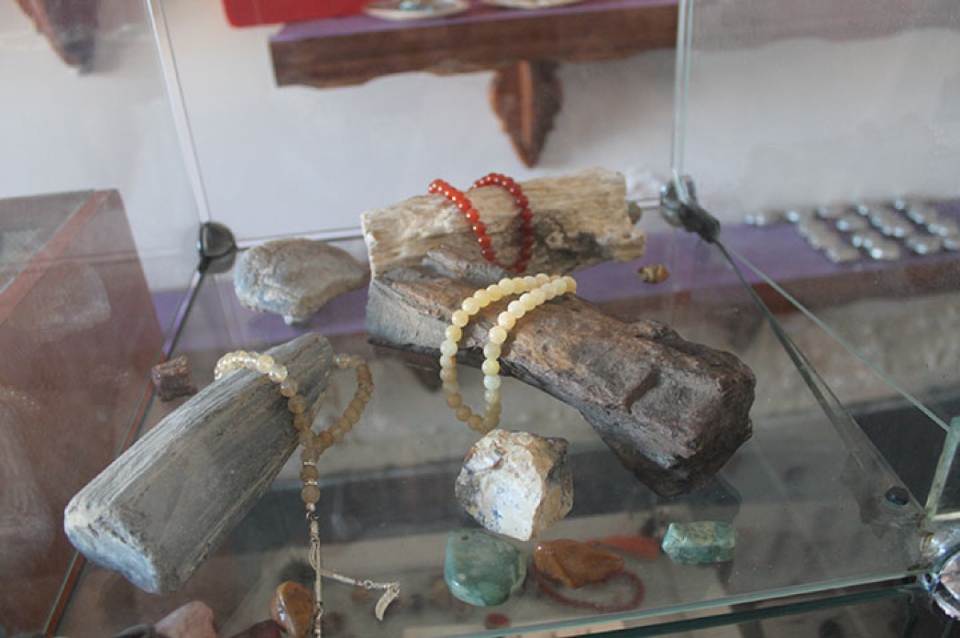 Fosil Ormanı ve Değerli Taşlar görsel 5