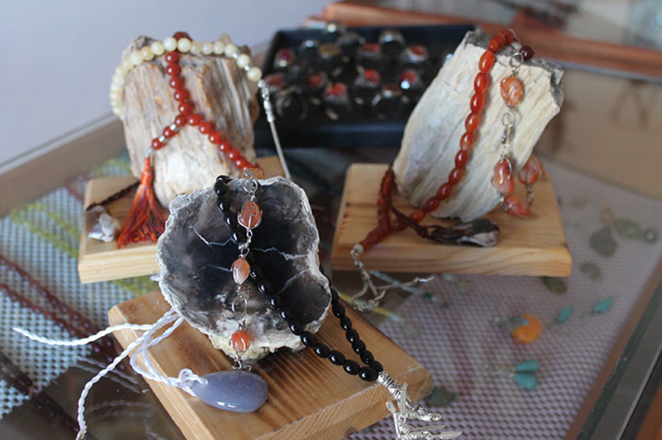 Fosil Ormanı ve Değerli Taşlar görsel 2