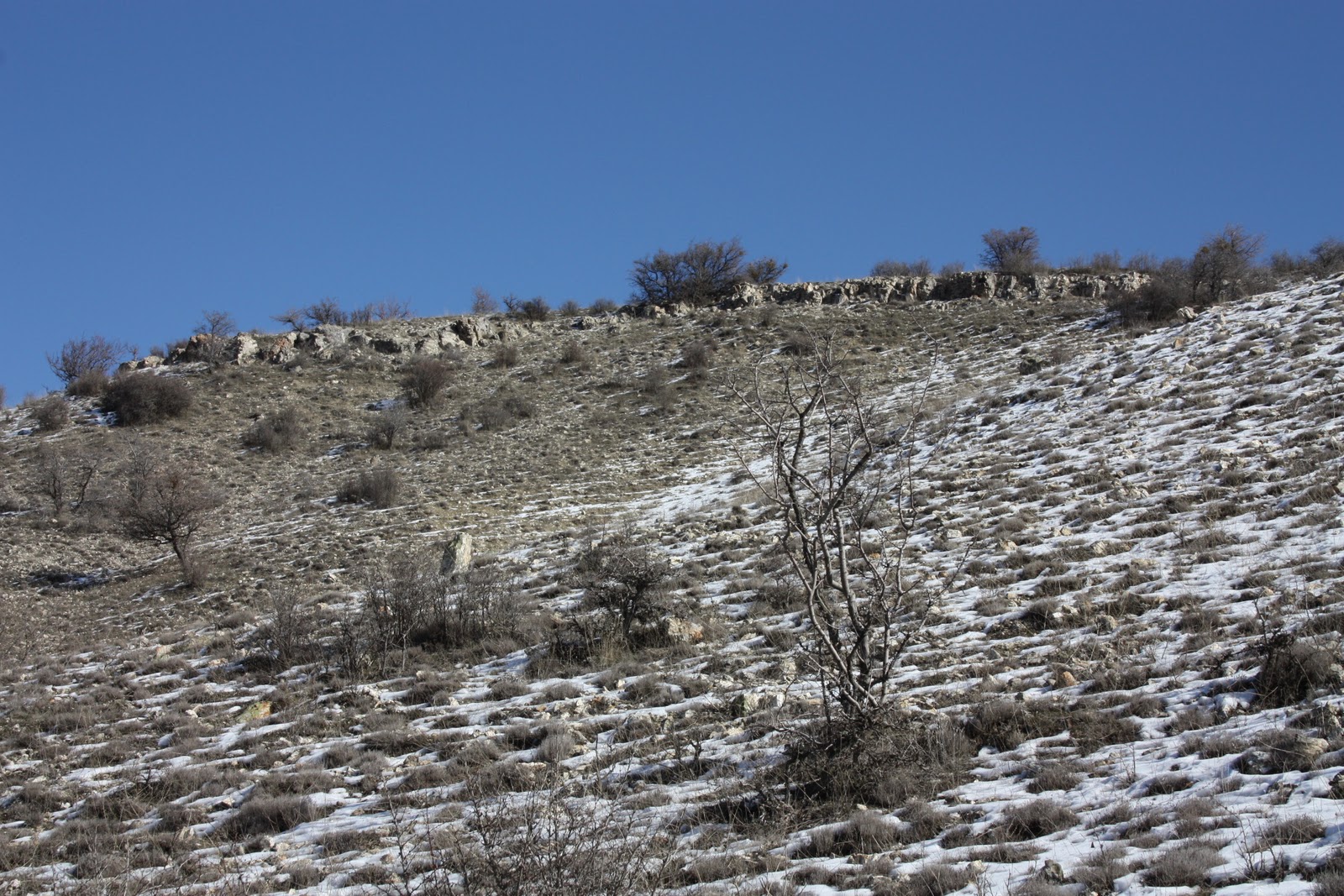 Fosil Ormanı ve Değerli Taşlar görsel 1