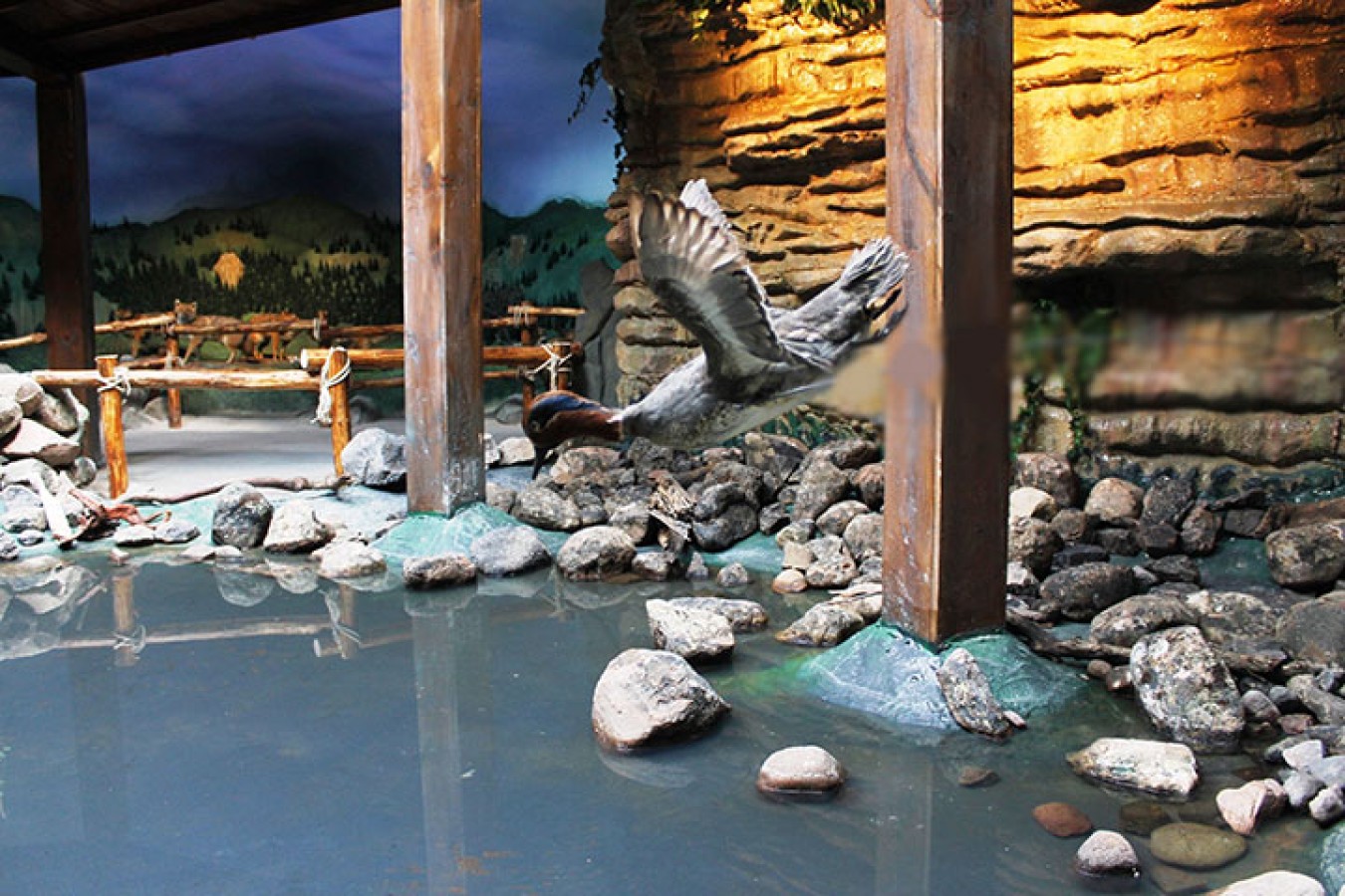 Sergileme kurgusu – tematik alan