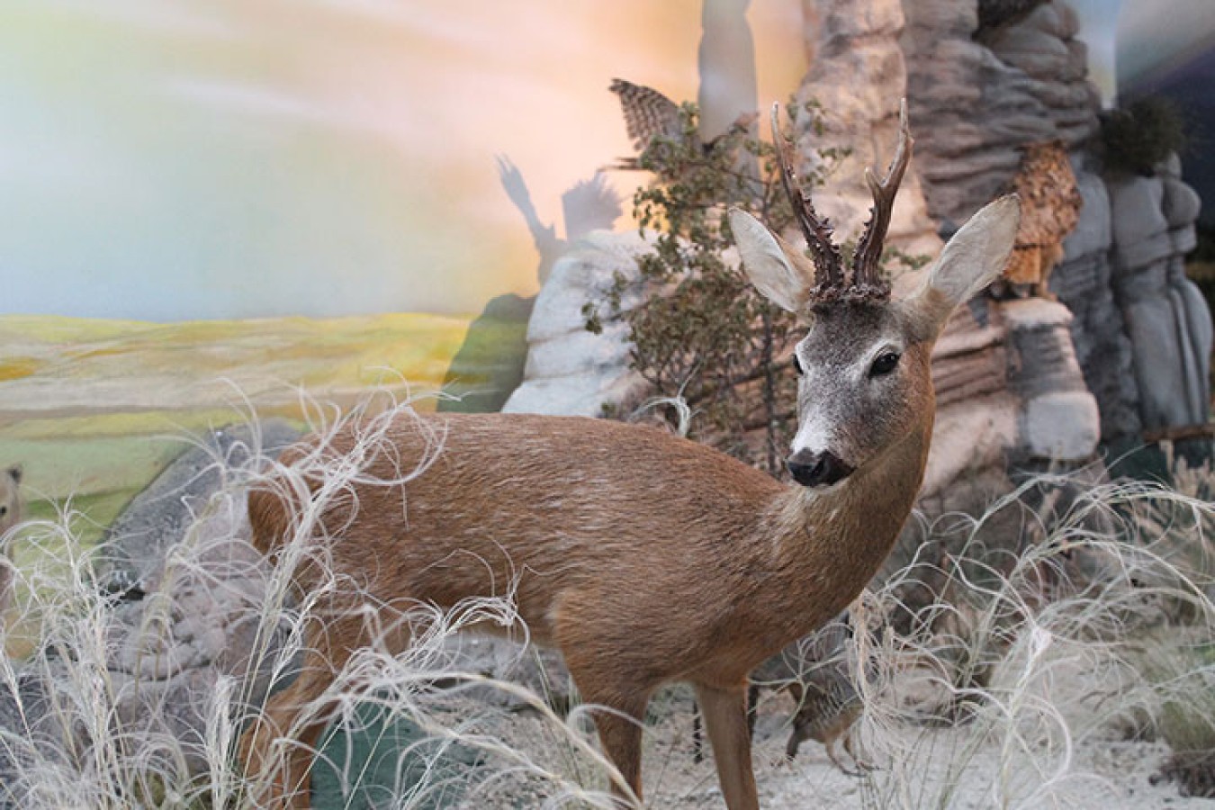 Müze iç mekânı – atmosfer detayı