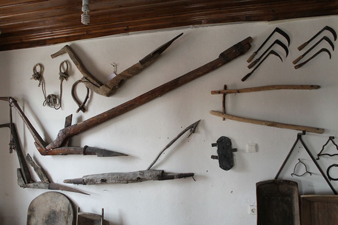 Tarım Müzesi – ziyaret rotası ve sergileme